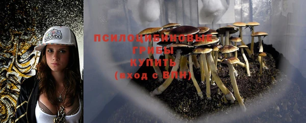 мдма Вязники